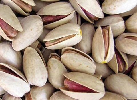 مشخصات پسته بادامی سفید و نحوه خرید عمده