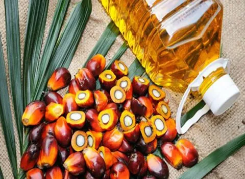 لیست قیمت روغن هسته خرما پالم به صورت عمده و با صرفه