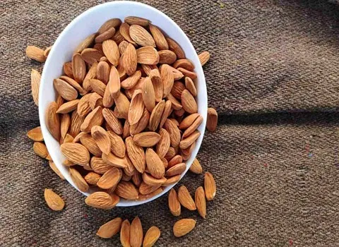 مشخصات بادام مامایی شهرکرد و نحوه خرید عمده