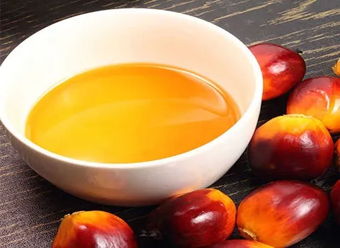 مشخصات روغن هسته خرما پالم و نحوه خرید عمده