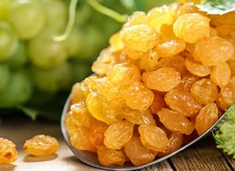 خرید عمده کشمش طلایی قلمی با بهترین شرایط