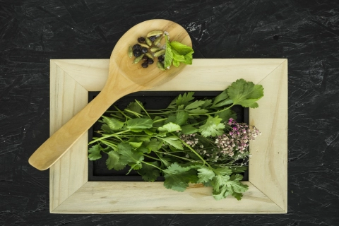 لیست قیمت گیاه دارویی علفی دو ساله به صورت عمده و با صرفه