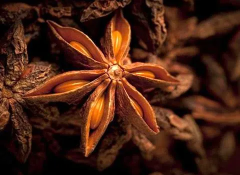 آموزش خرید گیاه دارویی ستاره شکل صفر تا صد
