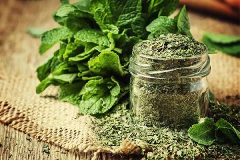 قیمت خرید عمده سبزی خشک ترشی ارزان و مناسب