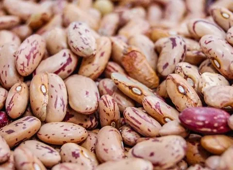 قیمت و خرید لوبیا چیتی تازه ارگانیک با مشخصات کامل