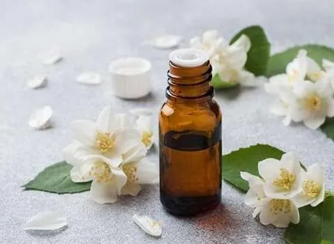 راهنمای خرید روغن زنبق اصل با شرایط ویژه و قیمت استثنایی