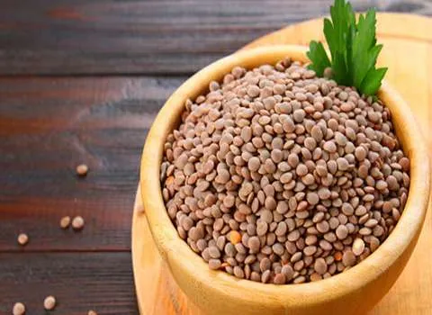 مشخصات عدس یک کیلویی و نحوه خرید عمده