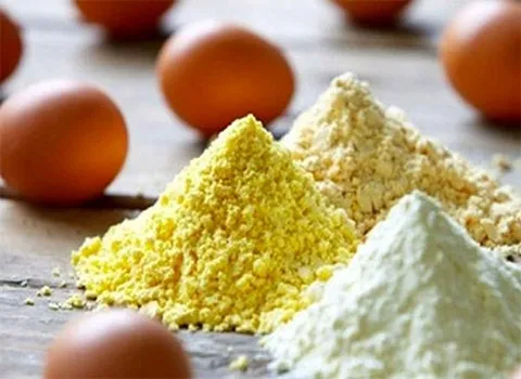 خریدعمده پودر زرده تخم مرغ با بهترین شرایط