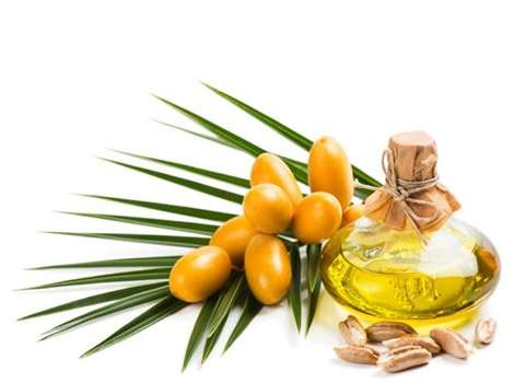 روغن هسته خرما همراه با توضیحات کامل و آشنایی