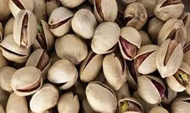 قیمت و خرید پسته کله قوچی اکبری با مشخصات کامل