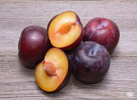 راهنمای خرید آلو سیاه صادراتی با شرایط ویژه و قیمت استثنایی