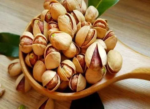 راهنمای خرید پسته فندقی عمده با شرایط ویژه و قیمت استثنایی