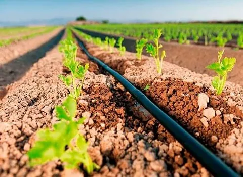خرید عمده لوله آبیاری دریپردار با بهترین شرایط