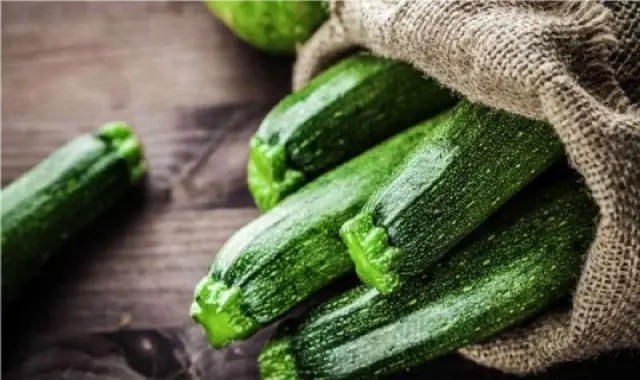 آموزش خرید کدو سبز گلخانه ای صفر تا صد