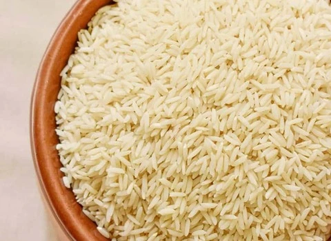 مشخصات برنج ده کیلویی هاشمی عمده و نحوه خرید عمده