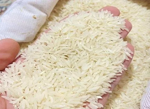 قیمت و خریدبرنج محلی شمال با مشخصات کامل