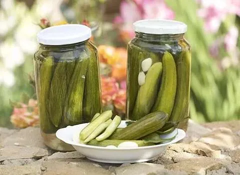 راهنمای خرید خیارشور خانگی درجه یک با شرایط ویژه و قیمت استثنایی