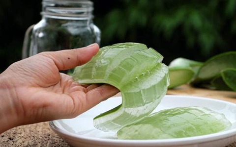 راهنمای خرید ژل آلوئه ورا ارگانیک با شرایط ویژه و قیمت استثنایی