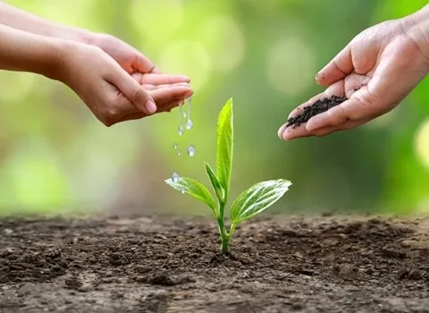 قیمت خرید عمده کود ارگانیک ورمی کمپوست ارزان و مناسب