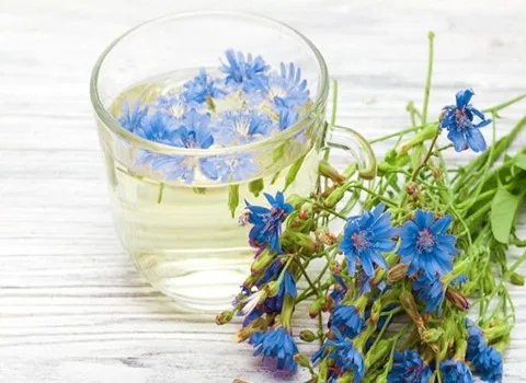 خرید عمده عرق کاسنی خالص با بهترین شرایط
