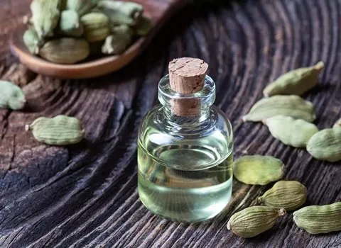 راهنمای خرید عرق هل اصل با شرایط ویژه و قیمت استثنایی