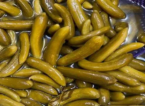 خیارشور 4 کیلویی آشنایی صفر تا صد قیمت خرید عمده