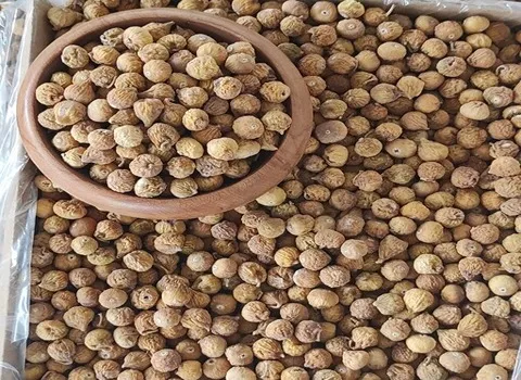 خرید عمده انجیر خشک عمده استهبان با بهترین شرایط