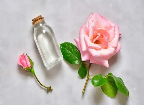 آموزش خرید گلاب کاشان قمصر صفر تا صد