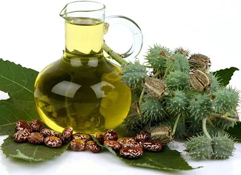 خرید عمده روغن کرچک طبیعی با بهترین شرایط