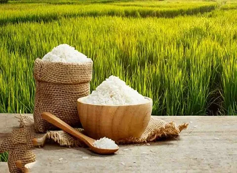 قیمت و خرید برنج ارگانیک گلستان با مشخصات کامل