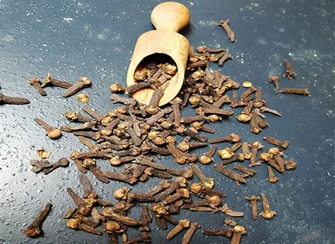 مشخصات میخک هندی خشک شده و نحوه خرید عمده