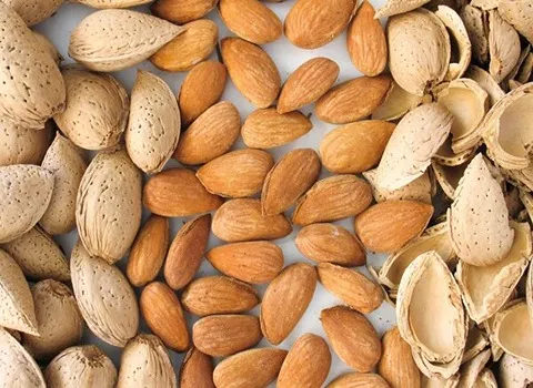 انواع بادام و مزایا و خواص آنها