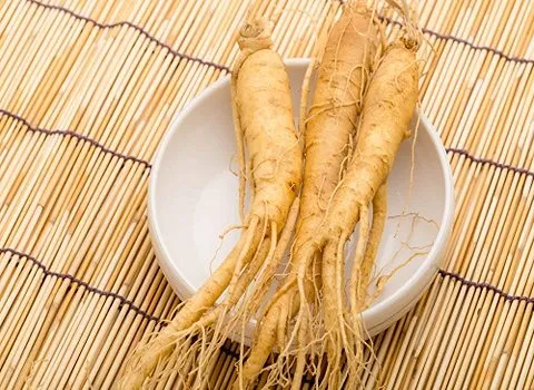 لیست قیمت گیاه جینسینگ خشک به صورت عمده و با صرفه