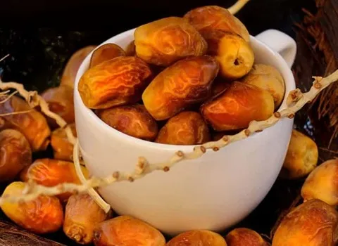 خرما زاهدی عراق آشنایی صفر تا صد قیمت خرید عمده