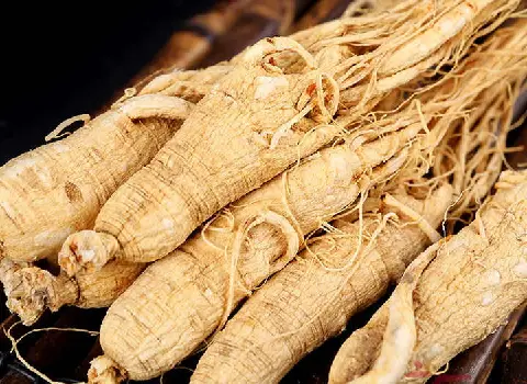 خرید ریشه جینسینگ خشک با بهترین شرایط