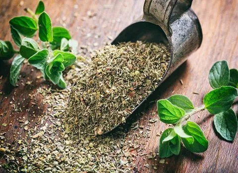 آموزش خرید گیاهان دارویی کوهی اراک صفر تا صد