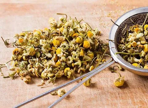 راهنمای خرید بابونه کوهی زرد با شرایط ویژه و قیمت استثنایی