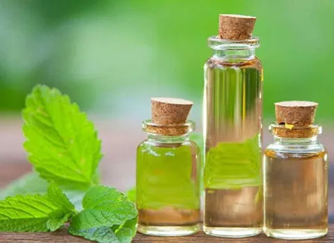 قیمت و خرید روغن نعناع فلفلی با مشخصات کامل