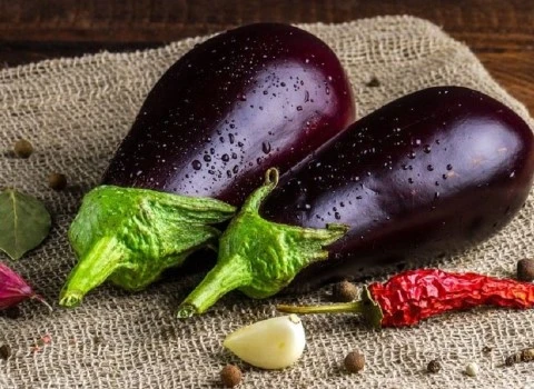 قیمت خرید عمده بادمجان لامپی گلخانه ای ارزان و مناسب