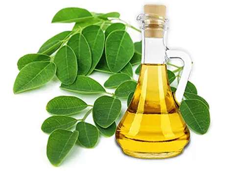 روغن مورینگا اصل آشنایی صفر تا صد قیمت خرید عمده