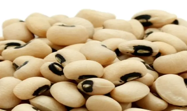 مشخصات  لوبیا چشم بلبلی تازه و نحوه خرید عمده