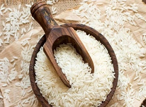 راهنمای خرید برنج چمپا رامهرمز با شرایط ویژه و قیمت استثنایی