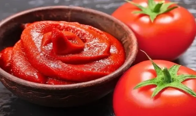 راهنمای خرید رب گوجه ۱۷ کیلویی با شرایط ویژه و قیمت استثنایی