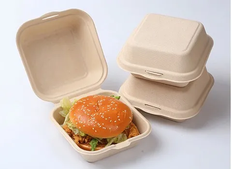 راهنمای خرید ظروف یکبار مصرف گیاهی اصفهان با شرایط ویژه و قیمت استثنایی