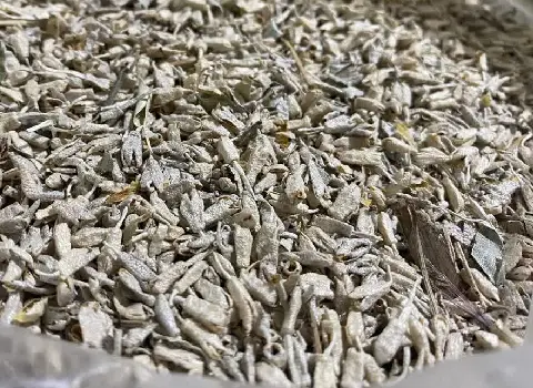 پودر گل سنجد همراه با توضیحات کامل و آشنایی