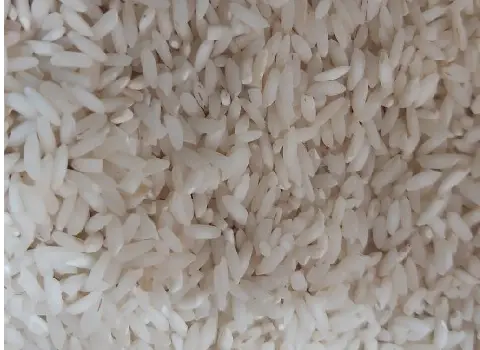 خرید عمده برنج چمپا خوزستان با بهترین شرایط