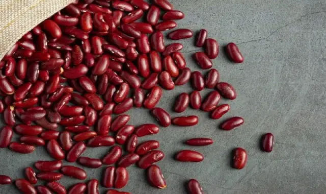 مشخصات لوبیا کپسولی قرمز و نحوه خرید عمده