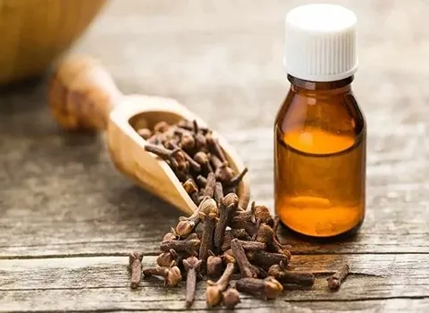 لیست قیمت روغن میخک هندی به صورت عمده و با صرفه