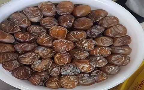 مشخصات خرما برحی سطلی و نحوه خرید عمده