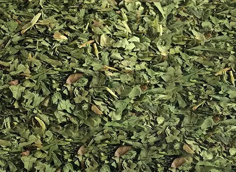 راهنمای خرید سبزی معطر خشک شده با شرایط ویژه و قیمت استثنایی